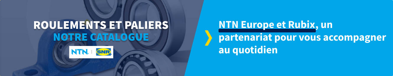 Roulements et paliers dédiés pour l'industrie